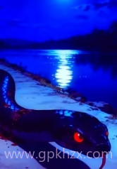 重生成蛇,吞噬就变强!