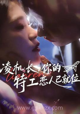 凌机长,你的特工恋人已就位
