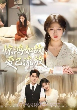 惊鸿如故,爱已流放