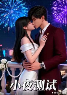 小夜测试
