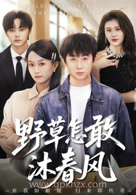 野草怎敢沐春风